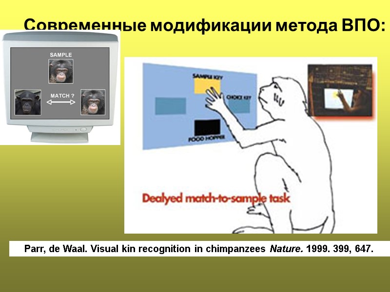 Современные модификации метода ВПО:       Parr, de Waal. Visual